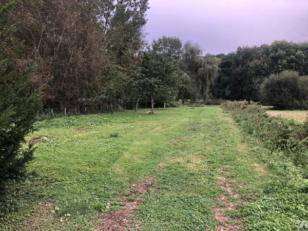 Terrain de loisir en bord de Loir