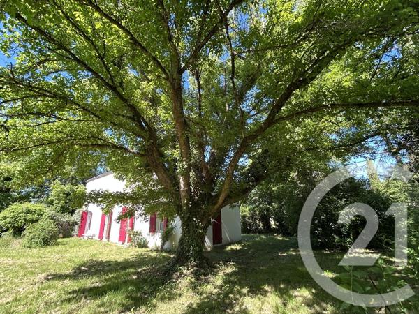 Maison à vendre  4 pièces - 119 m 2   NOAILLAN  - 33