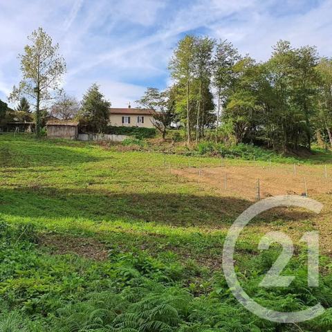 Maison à vendre  4 pièces - 127 m 2   NERBIS  - 40