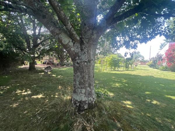 Aiguillon Maison d'architecte