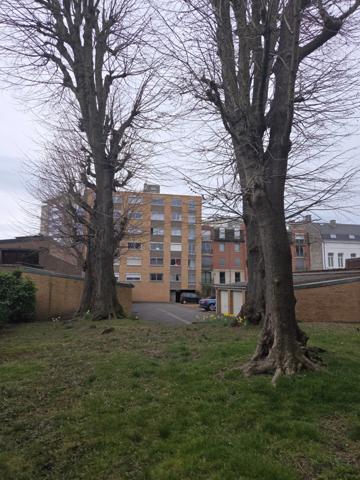 Appartement à vendre 3 pièces (59)