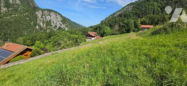 Terrain viabilisé
