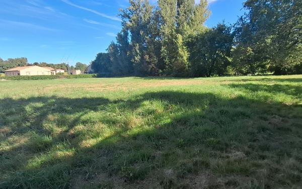 Terrain à vendre    Finhan