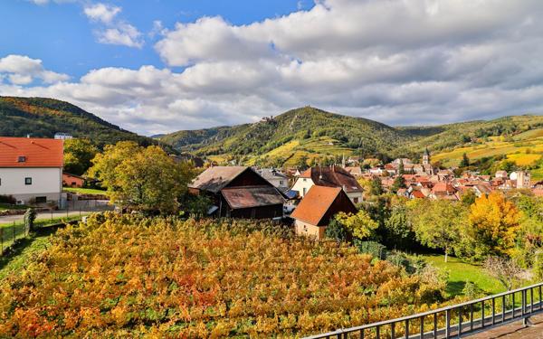 Appartement à vendre    2 pièces • 39,78 m2 Ribeauvillé