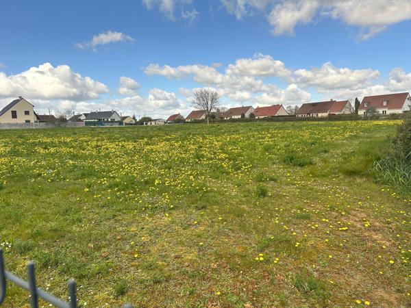 Terrain constructible