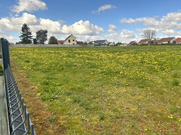 Terrain constructible