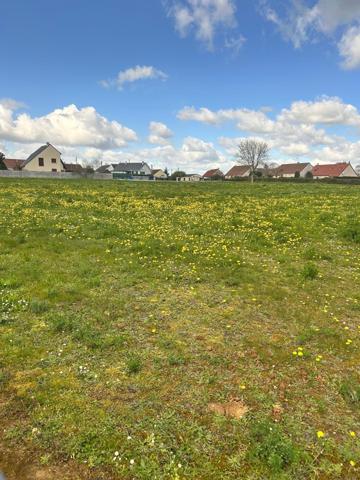 Terrain constructible