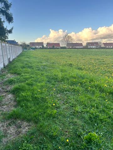 Terrain constructible