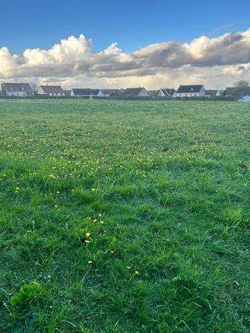 Terrain constructible