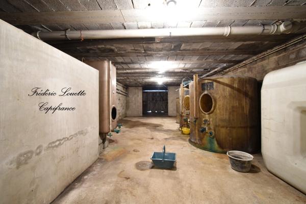 Maison à vendre 7 pièces DIZY (51) dissocié en 1 appartement et une maison plus 3 garages, 2 terrasses,