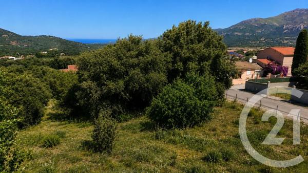 Terrain à vendre  3119 m 2   CORBARA  - 202