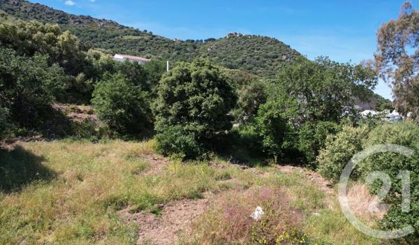 Terrain à vendre  3119 m 2   CORBARA  - 202