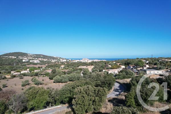 Terrain à vendre  3119 m 2   CORBARA  - 202