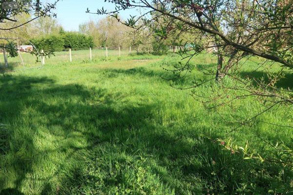 Pavillon à vendre à Châtellerault dans la Vienne (86100), ref : 86024-MAIS2377   
CHATELLERAULT