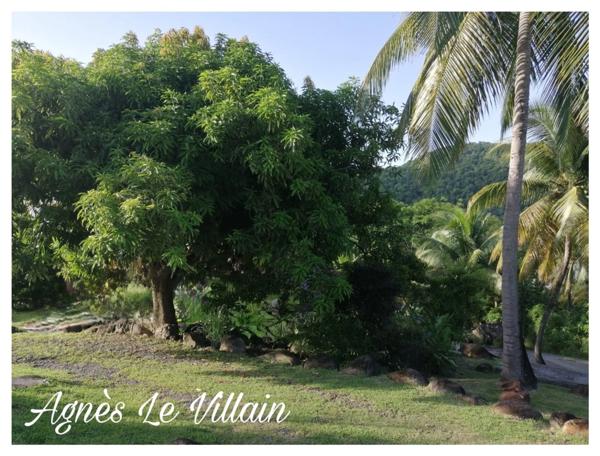 Propriété à Rénover à 300 m de la Plage de Grande Anse