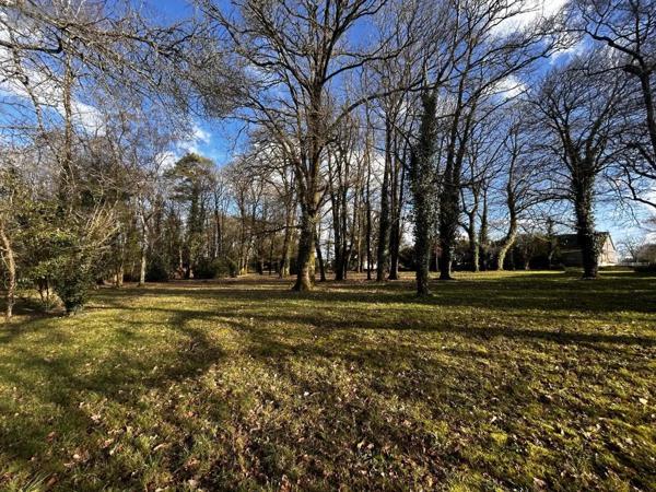 Achat - Maison Guer 56380 8 pièces 145 m 2 6452 m 2