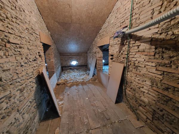 MAISON DE MAITRE AVEC PARC DE 5000M² DEPENDANCES ET DEUX PIGEONNIERS