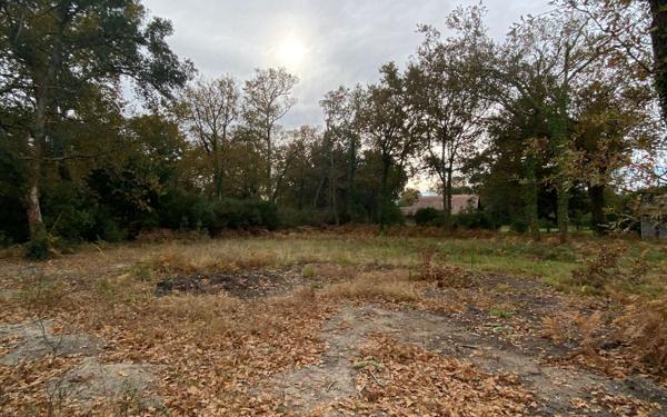 Terrain à vendre    Moliets-et-Maa