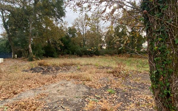 Terrain à vendre    Moliets-et-Maa