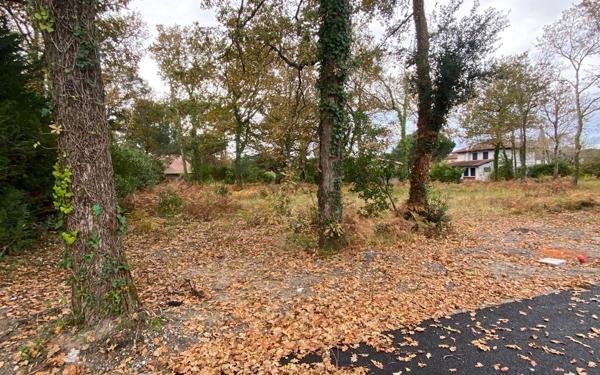 Terrain à vendre    Moliets-et-Maa