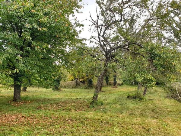 Achat - Maison | Corps de ferme Val-de-Vière 51340 4 pièces 114 m 2 6043 m 2