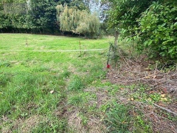 Terrain à Batir à vendre à Plouézec dans les Côtes-d'Armor (22470), ref : TEBA-297