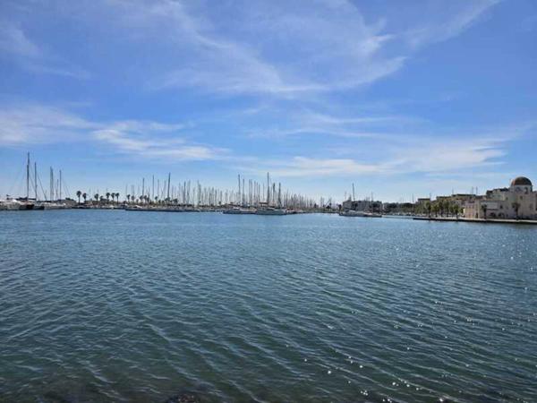 GRUISSAN PORT – T2 43m² RÉNOVÉ + PARKING – RARE