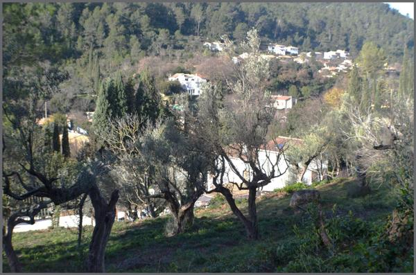 Grande maison et deux appartements terrain 24000m²