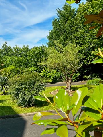 Gradignan (33170) MAISON DE MAÎTRE DE 215M², A VENDRE, A GRADIGNAN