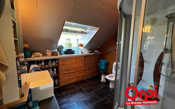 Maison à vendre    11 pièces • 500 m2 Saulxures-sur-Moselotte