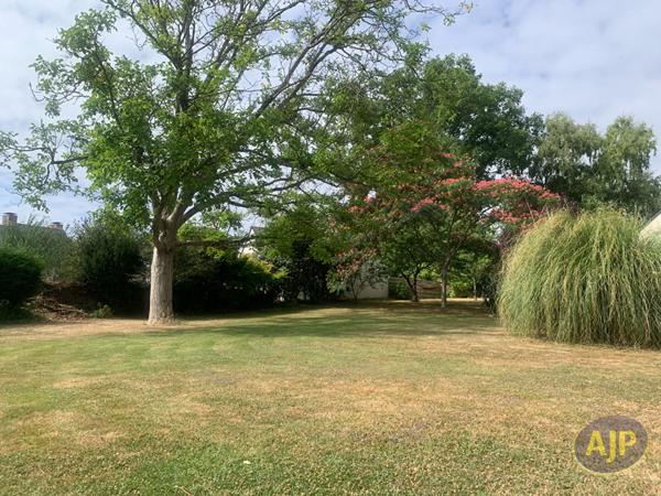 Vente terrain Segre : 80 700 € - AJP Immobilier Segré