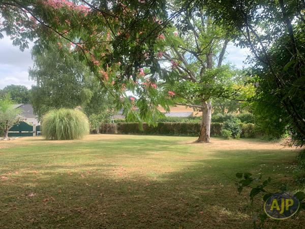 Vente terrain Segre : 80 700 € - AJP Immobilier Segré