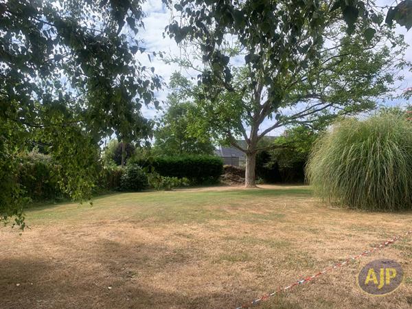 Vente terrain Segre : 80 700 € - AJP Immobilier Segré