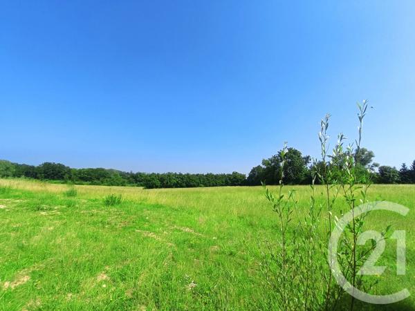 Terrain à vendre  2000 m 2   CUISERY  - 71