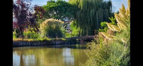 MARANS (17230 ) - MAISON - PISCINE CHAUFFÉE - DÉPENDANCES - TERRAIN - ÉTANG