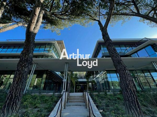 Location bureaux neufs 494 m² R+2 Centrium - Sophia Antipolis