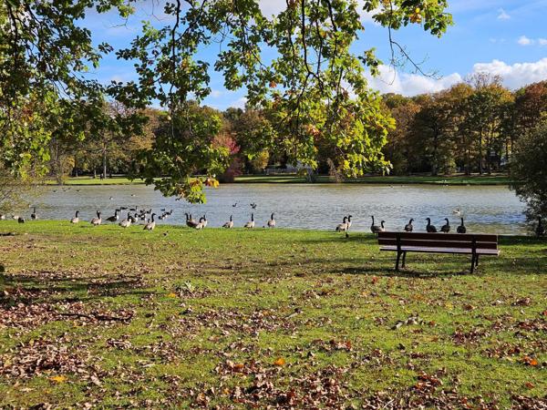 Plain-pied lumineux avec terrasse Sud/Ouest dans un cadre naturel privilégié.