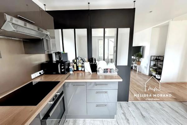 Appartement T5 duplex à vendre 5 pièces SCIEZ (74), entièrement rénové, hyper centre