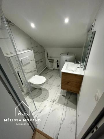 Appartement T5 duplex à vendre 5 pièces SCIEZ (74), entièrement rénové, hyper centre