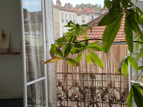 Bel appartement clair et calme.