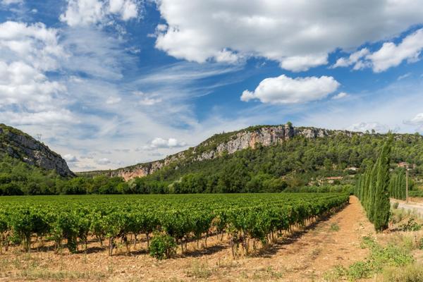 Vente Propriété viticole Cabasse 10 Pièces 384 m²