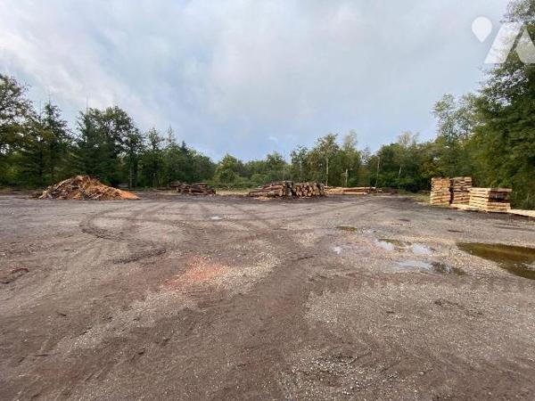 À Vendre à SALBRIS - Maison de 125 m² avec Grand Hangar et Terrain d'1,36 hectare

Située dan...