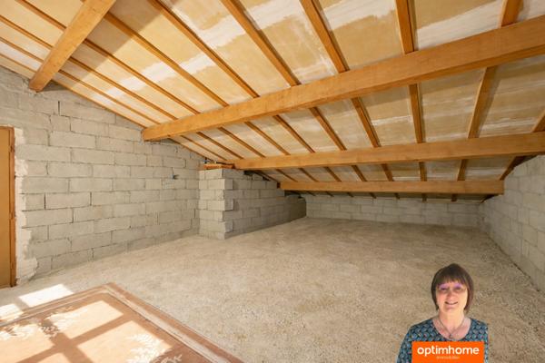 A vendre à Aigues-Mortes (Gard) : Mas avec Piscine et Appartements Locatifs