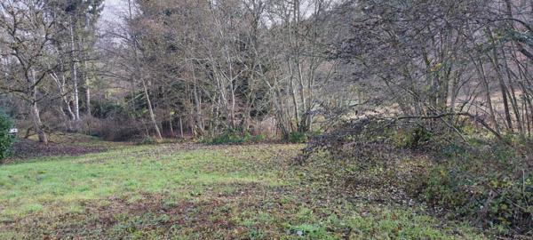 ROUGEMONT LE CHATEAU : Terrain constructible 12ares41