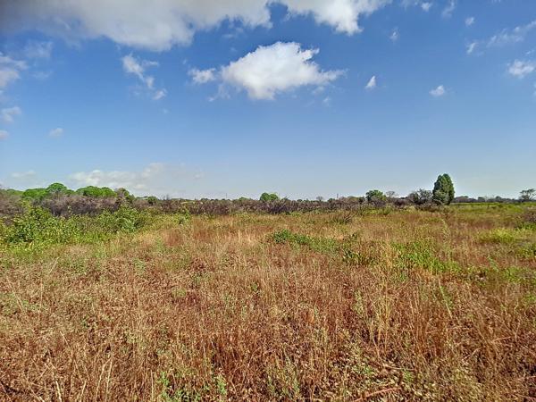 Vente / Terrain agricole