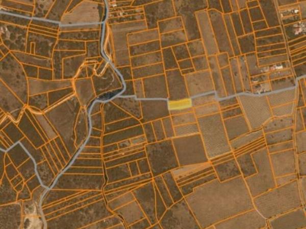 Vente / Terrain agricole