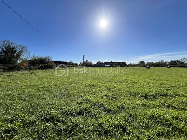 Terrain de 9 100 m²