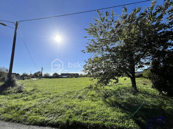 Terrain de 9 100 m²