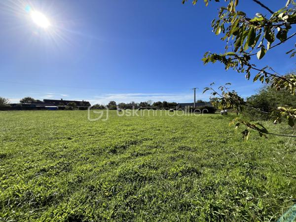 Terrain de 9 100 m²