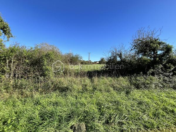 Terrain de 9 100 m²